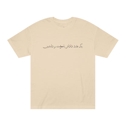 Men's T-Shirt with Farsi Text "One Amazing and Kind Brother" – تی‌شرت مردانه با متن فارسی "یک عدد داداش بامعرفت و و دلنشین"، با رنگ‌بندی